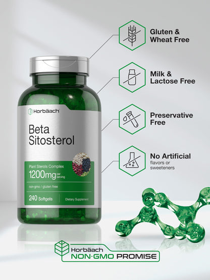 Horbäach Beta Sitosterol 1200mg – 240 Softgel Capsules | Plant Sterols Complex
