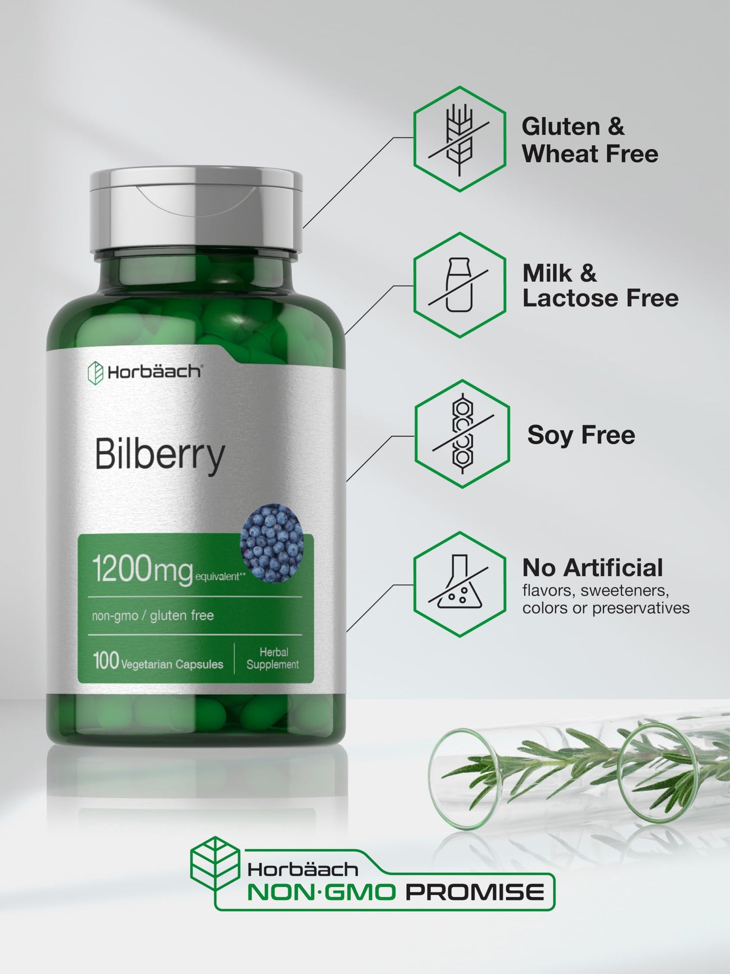 Horbäach Bilberry Extract 1200mg | 100 Vegetarian Capsules | Gluten Free