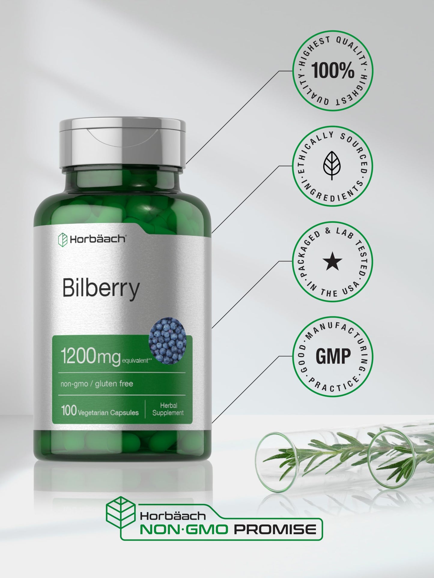 Horbäach Bilberry Extract 1200mg | 100 Vegetarian Capsules | Gluten Free