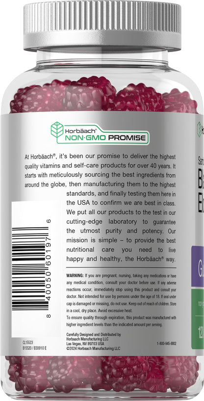 Horbaach Black Elderberry Gummies 120 Count | Zinc & Vitamin C | Vegan, Non-GMO, Gluten Free