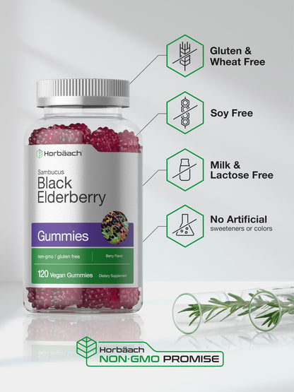 Horbaach Black Elderberry Gummies 120 Count | Zinc & Vitamin C | Vegan, Non-GMO, Gluten Free