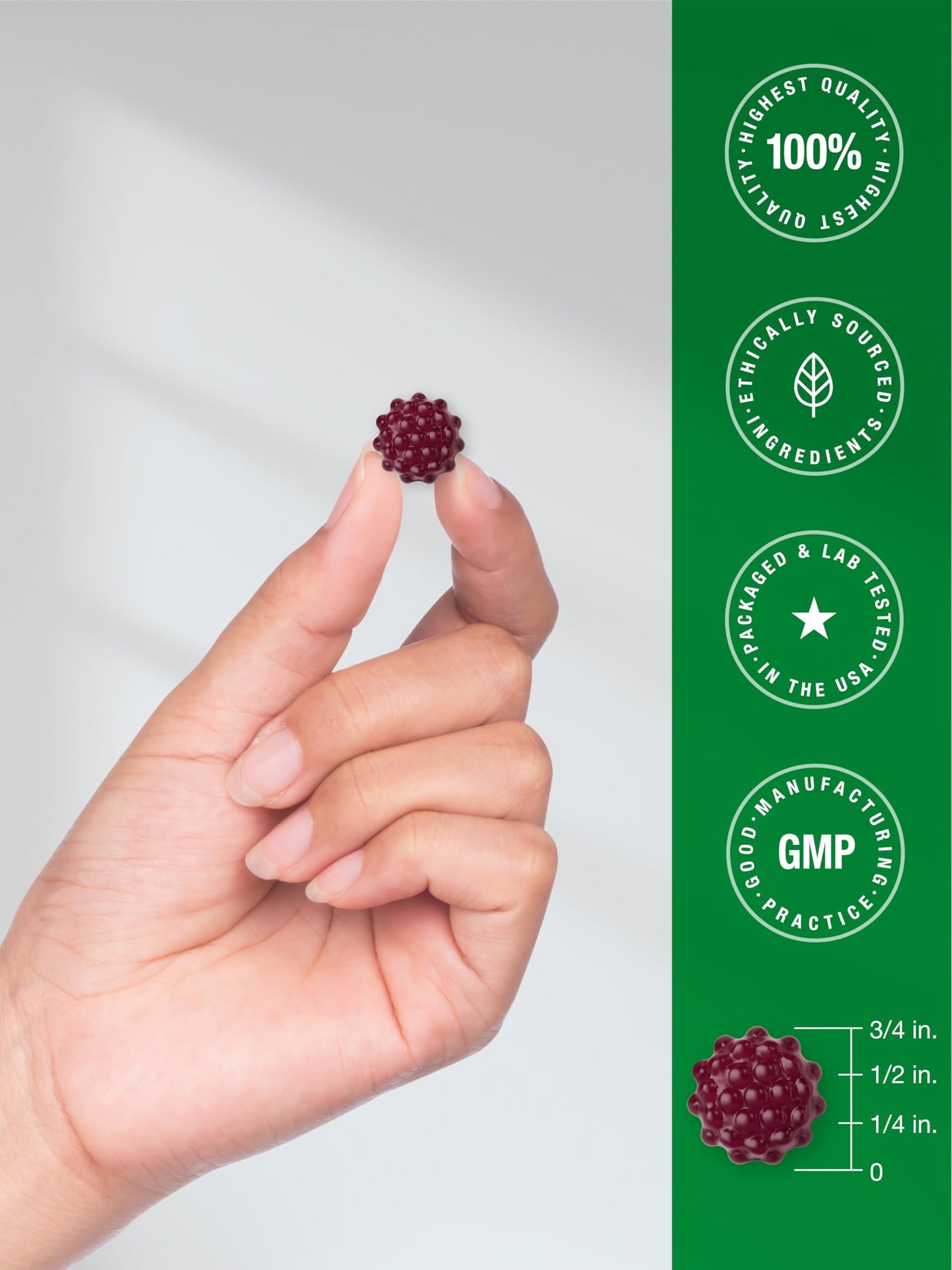 Horbaach Black Elderberry Gummies 120 Count | Zinc & Vitamin C | Vegan, Non-GMO, Gluten Free
