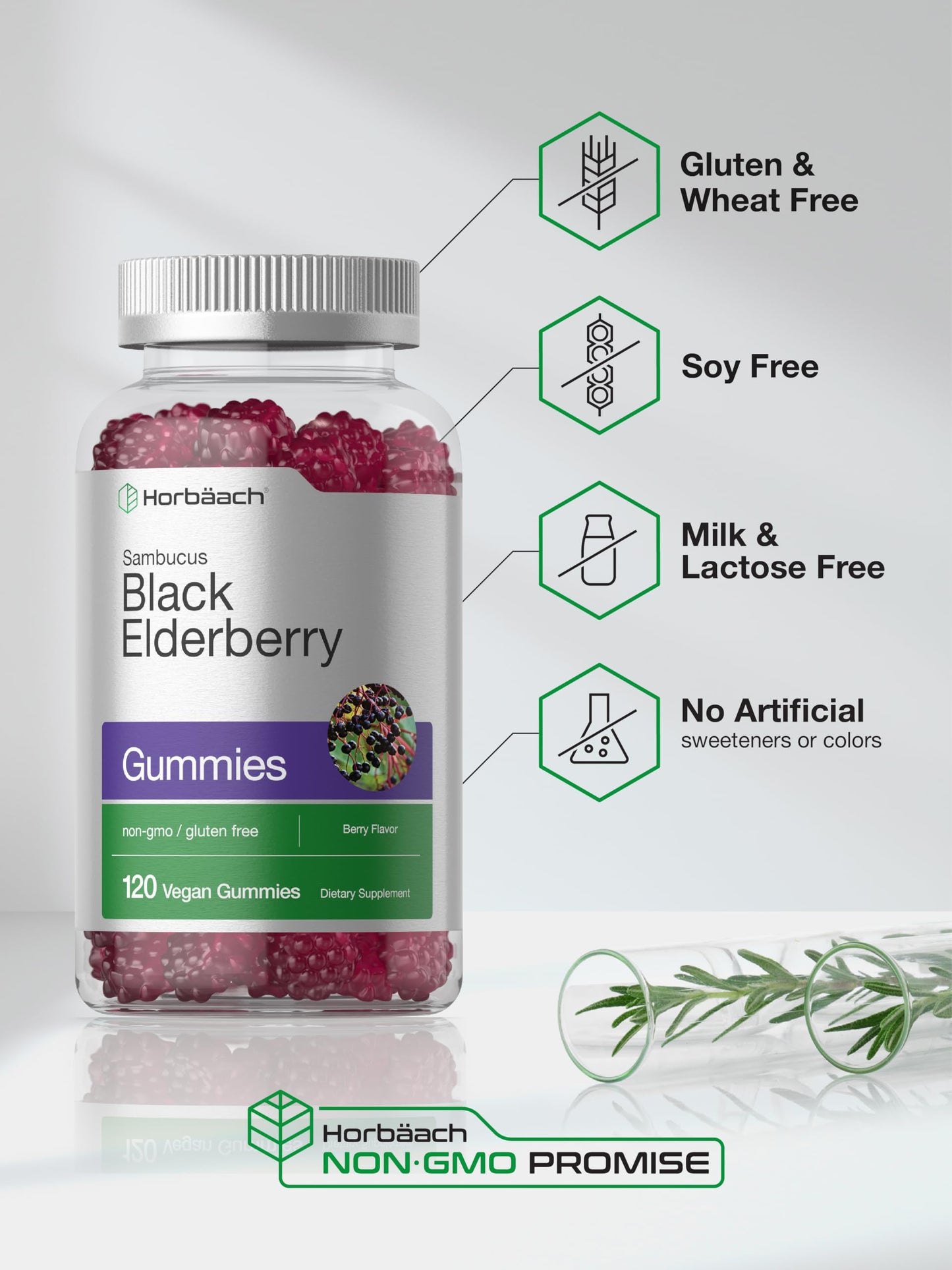 Horbaach Black Elderberry Gummies - 120 Count (Pack of 2) | Zinc & Vitamin C | Vegan, Non-GMO, Gluten Free