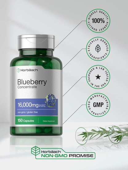 Horbäach Blueberry Extract – Capsules, Non-GMO & Gluten Free