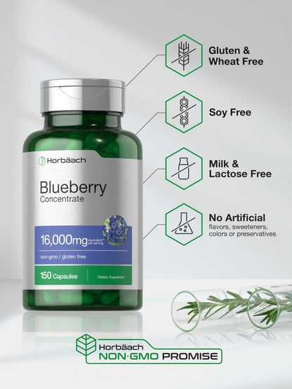 Horbäach Blueberry Extract – Capsules, Non-GMO & Gluten Free