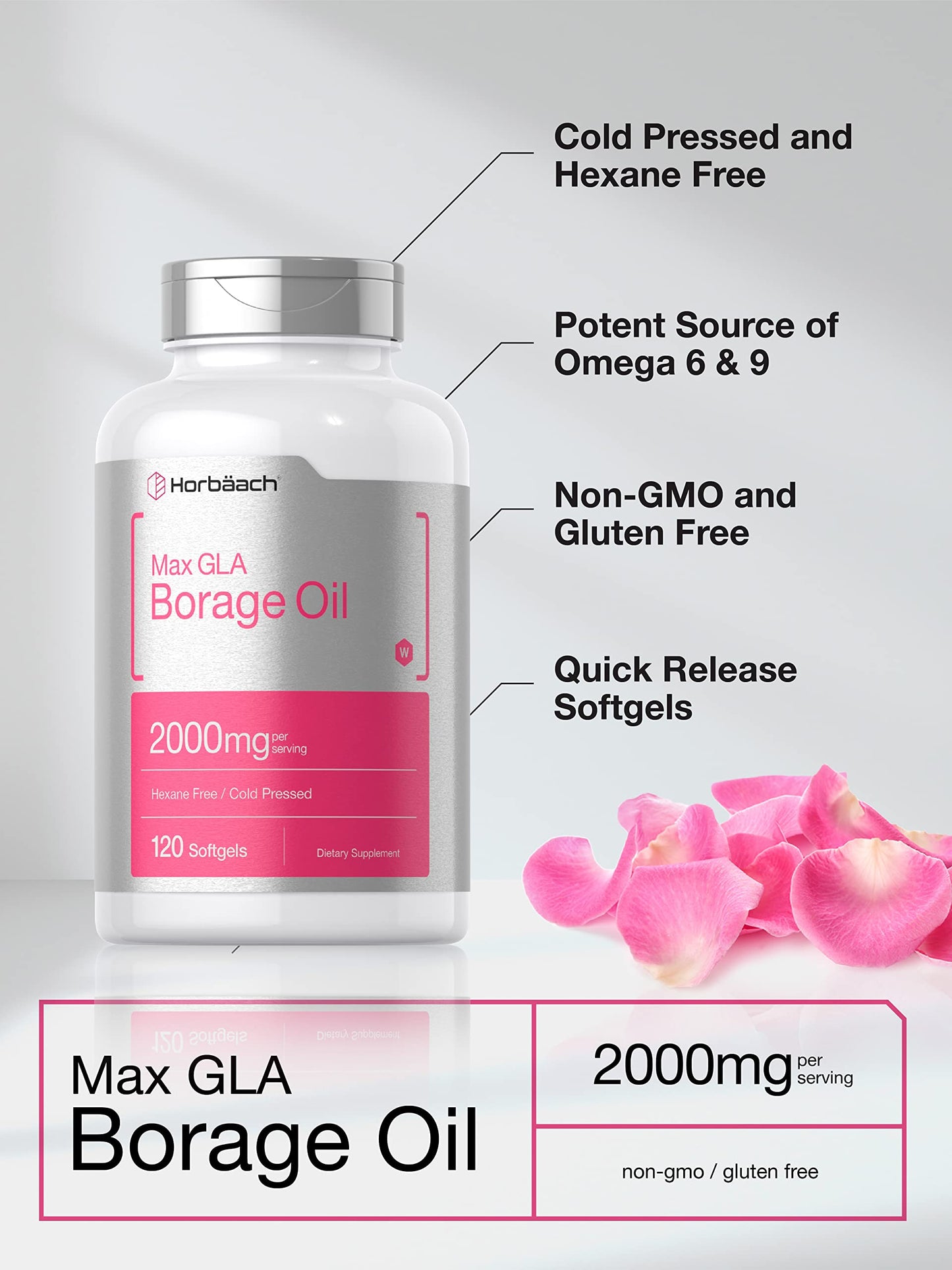 Horbäach Borage Oil Capsules 2000 mg | 120 Softgels | 320 mg GLA | Cold Pressed Seed Oil Supplement