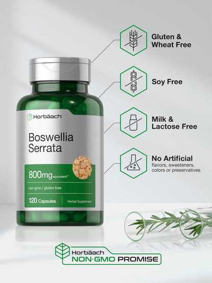 Horbaach Boswellia Serrata 800mg Capsules – 120 Count | Non-GMO, Gluten Free