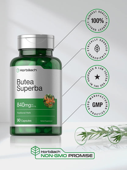 Horbäach Butea Superba Root 840mg | 90 Capsules | Male Performance | Non-GMO, Gluten-Free