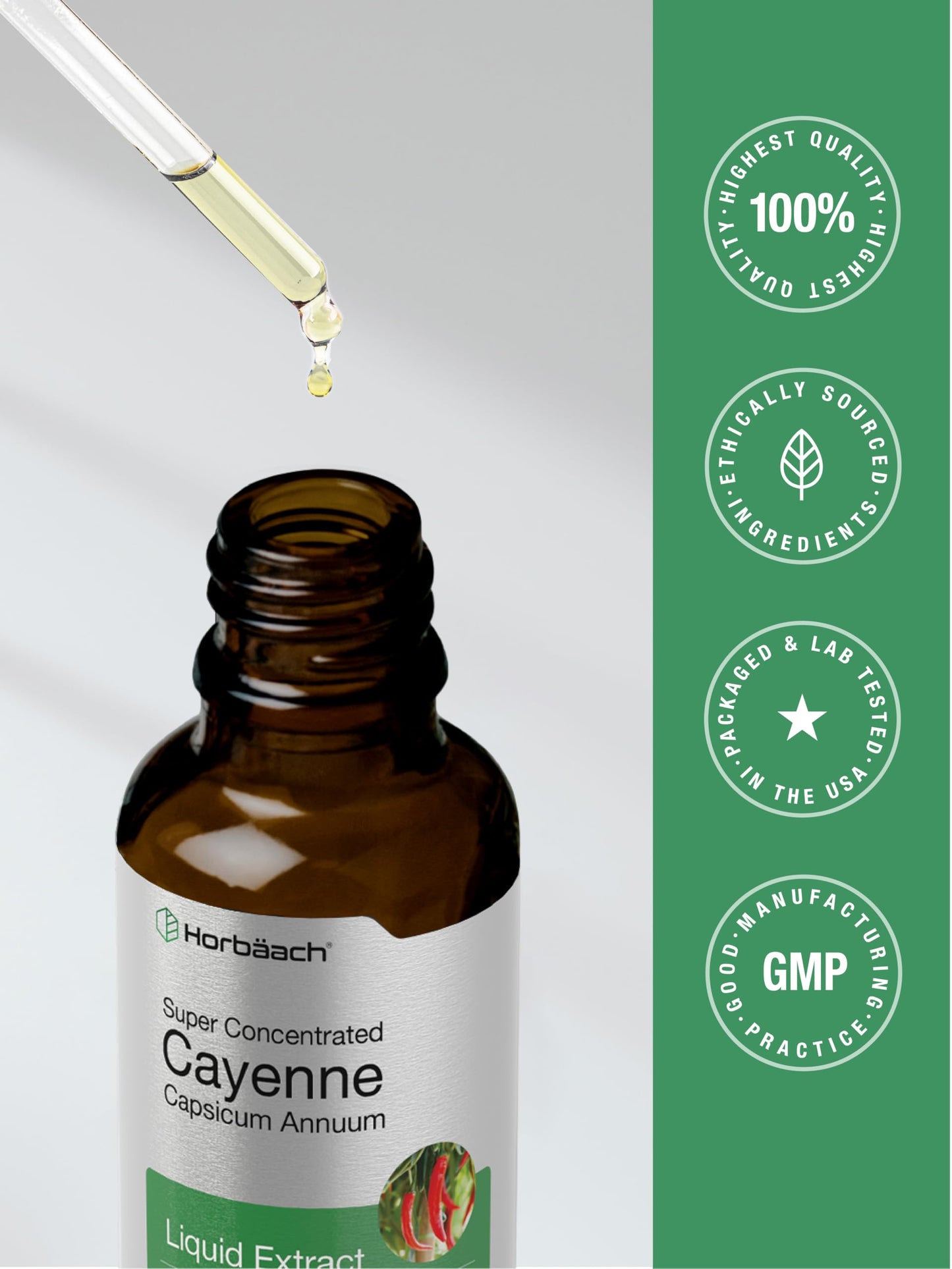 Horbäach Cayenne Pepper Tincture | 2 fl oz Liquid Extract | Vegetarian, Alcohol Free | Non-GMO, Gluten Free Supplement