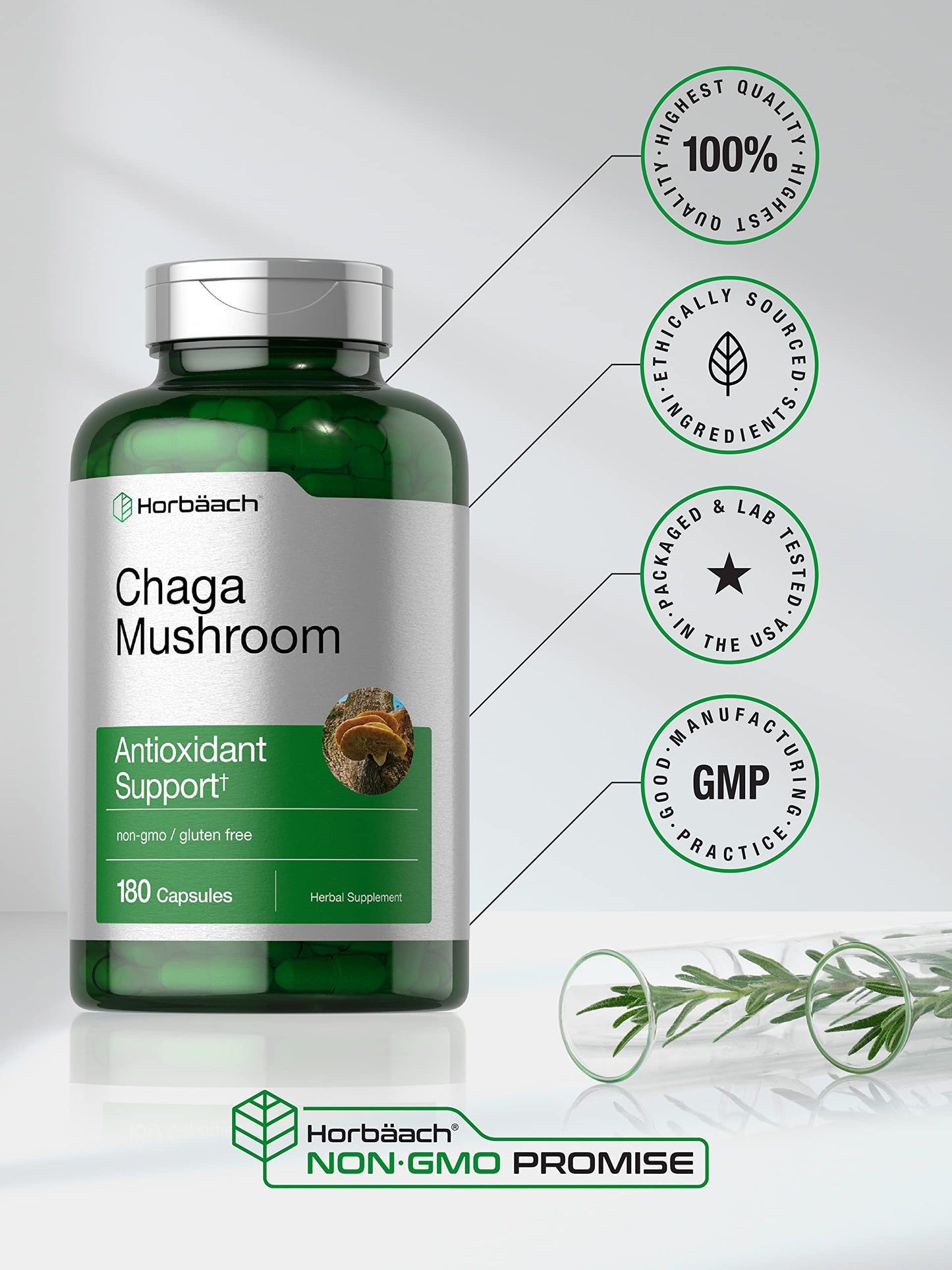 Horbäach Chaga Mushroom Capsules – 180 Count – Non-GMO & Gluten Free