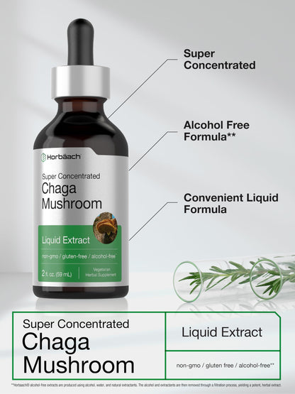 Horbaach Chaga Mushroom Extract - 2 Fl Oz | Alcohol-Free Tincture | Non-GMO & Gluten Free