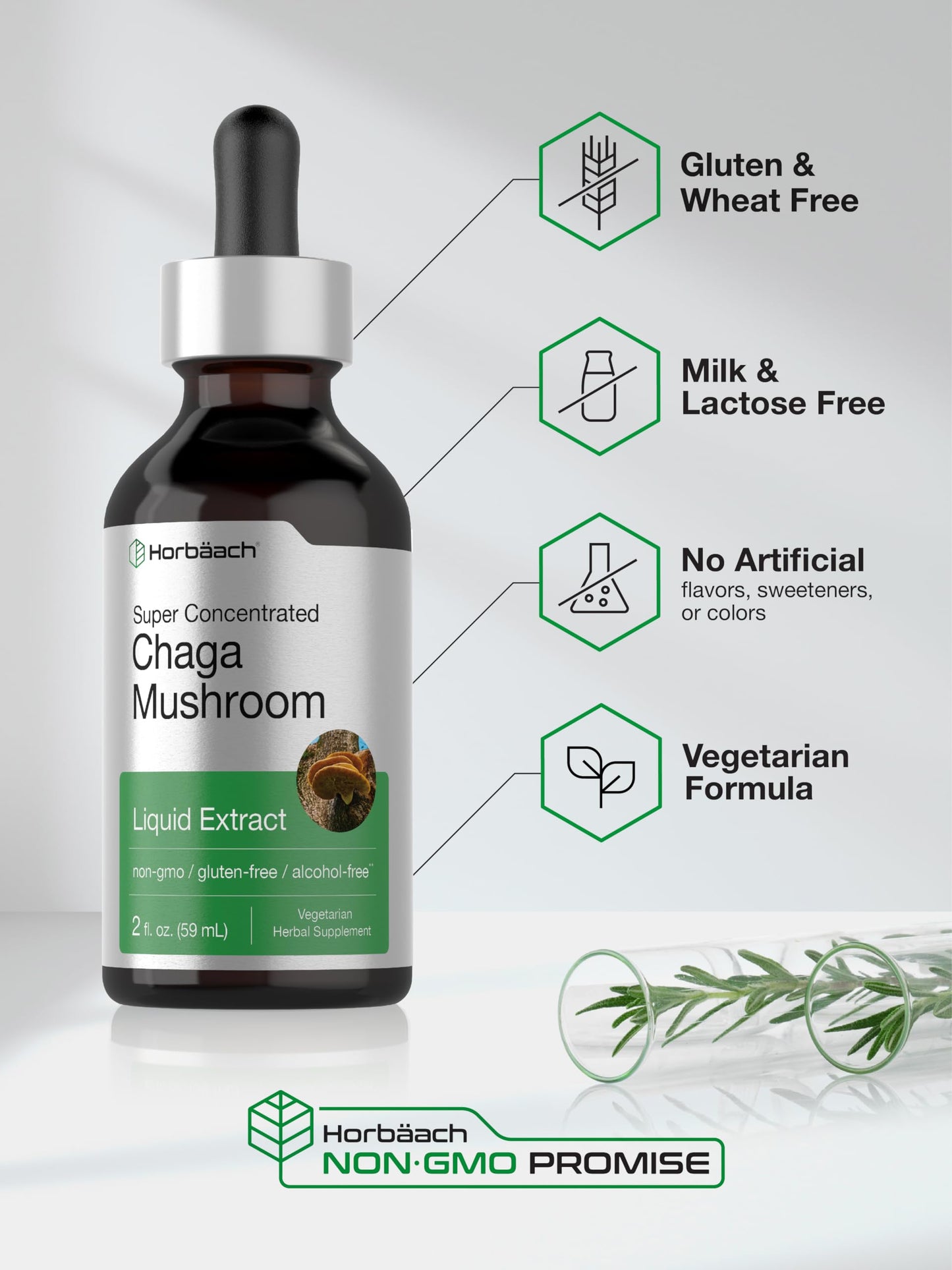 Horbaach Chaga Mushroom Extract - 2 Fl Oz | Alcohol-Free Tincture | Non-GMO & Gluten Free