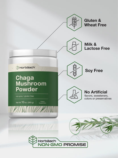 Horbäach Chaga Mushroom Powder – 10 oz | Vegan, Non-GMO & Gluten Free