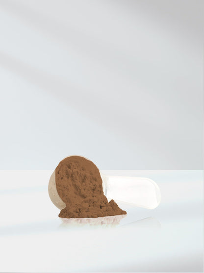 Horbäach Chaga Mushroom Powder – 10 oz | Vegan, Non-GMO & Gluten Free