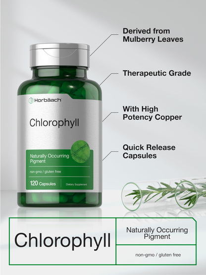 Horbäach Chlorophyll Capsules | 120 Count | Non-GMO & Gluten Free Supplement | Naturally-Occurring Pigment