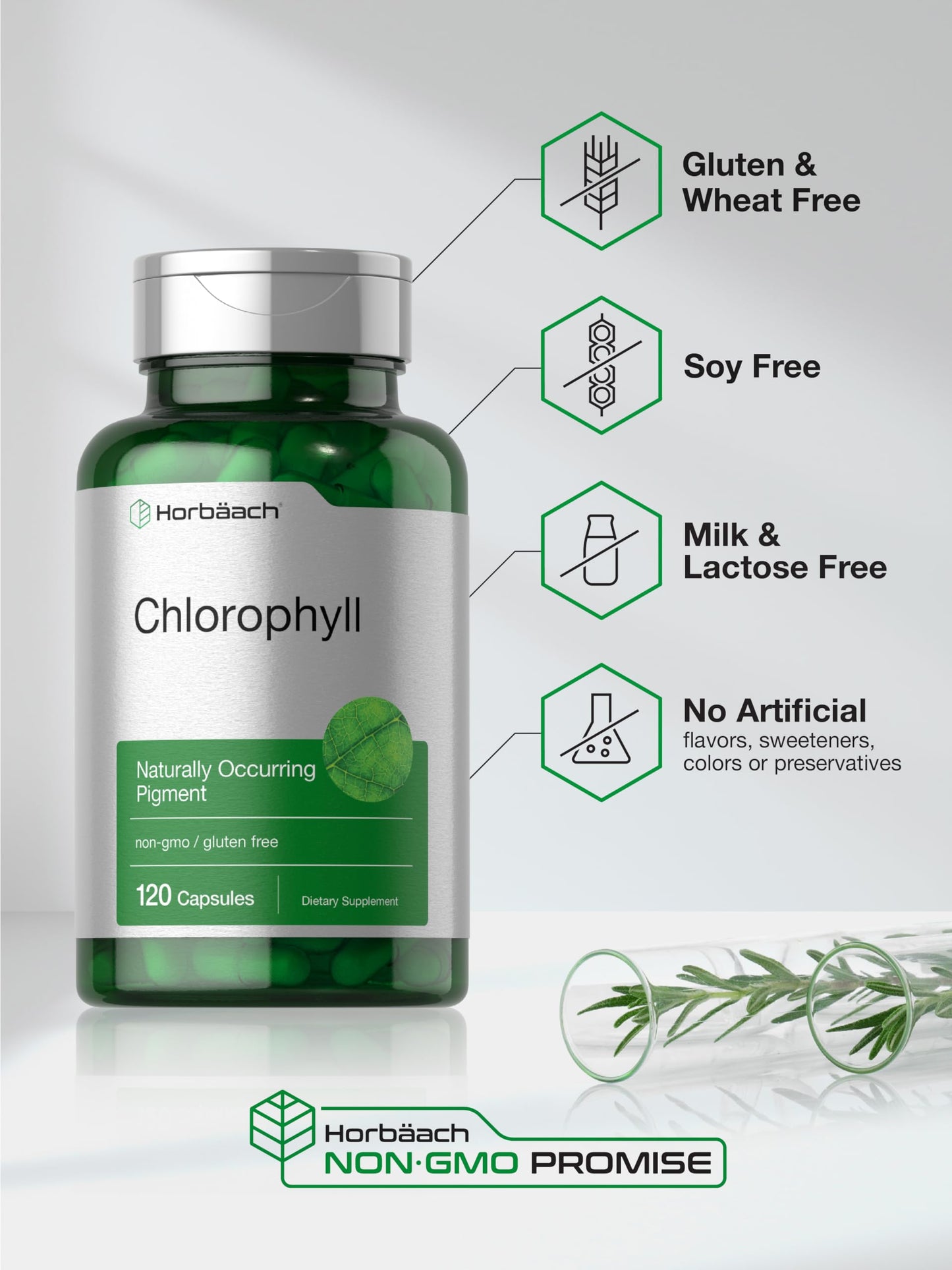 Horbäach Chlorophyll Capsules | 120 Count | Non-GMO & Gluten Free Supplement | Naturally-Occurring Pigment