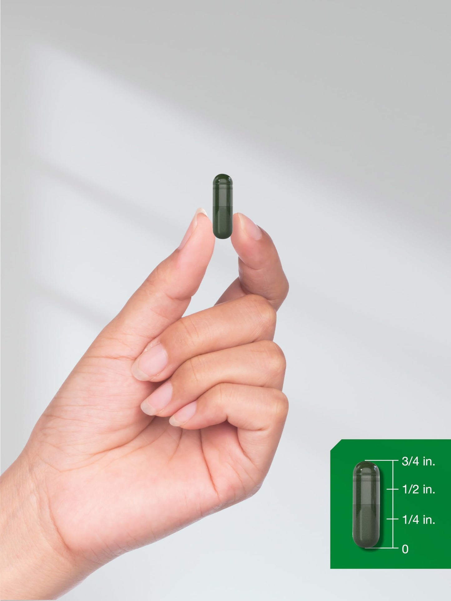 Horbäach Chlorophyll Capsules | 120 Count | Non-GMO & Gluten Free Supplement | Naturally-Occurring Pigment