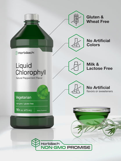 Horbäach Chlorophyll Liquid Drops 100mg – 32 oz Peppermint