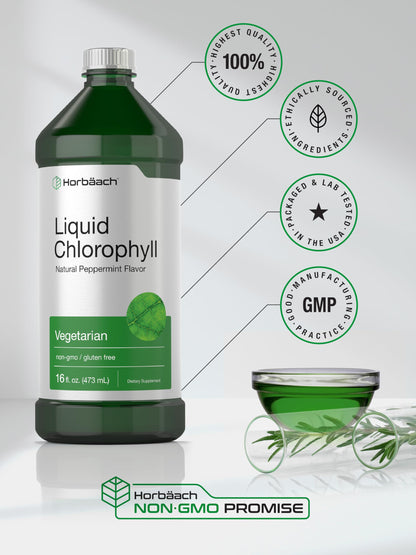 Horbäach Chlorophyll Liquid Drops 100mg – 32 oz Peppermint