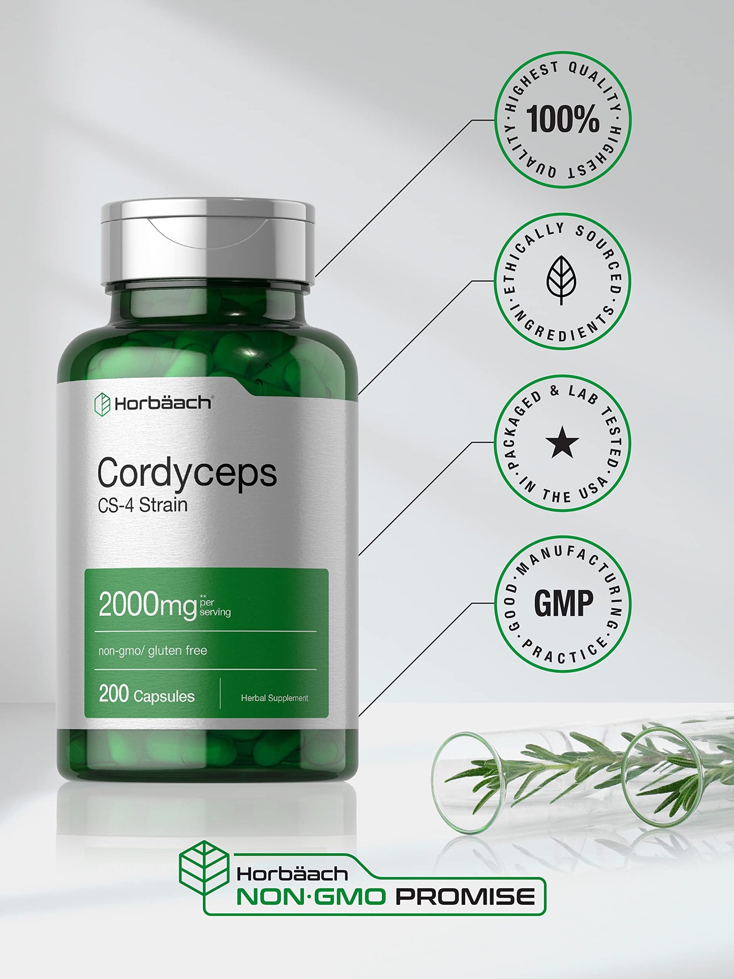 Horbäach Cordyceps Mushroom Capsules 2000mg | 200 Count | CS-4 Strain Cordyceps Sinesis | Non-GMO Herbal Supplement