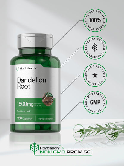 Horbäach Dandelion Root 1800mg - 120 Capsules | Non-GMO, Gluten Free