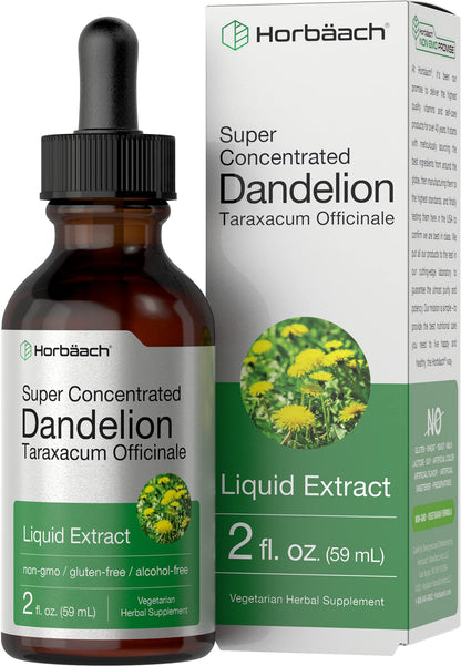 Horbäach Dandelion Root Extract Supplement - 2 fl oz | Alcohol-Free Liquid Tincture | Super Concentrated | Non-GMO & Gluten Free