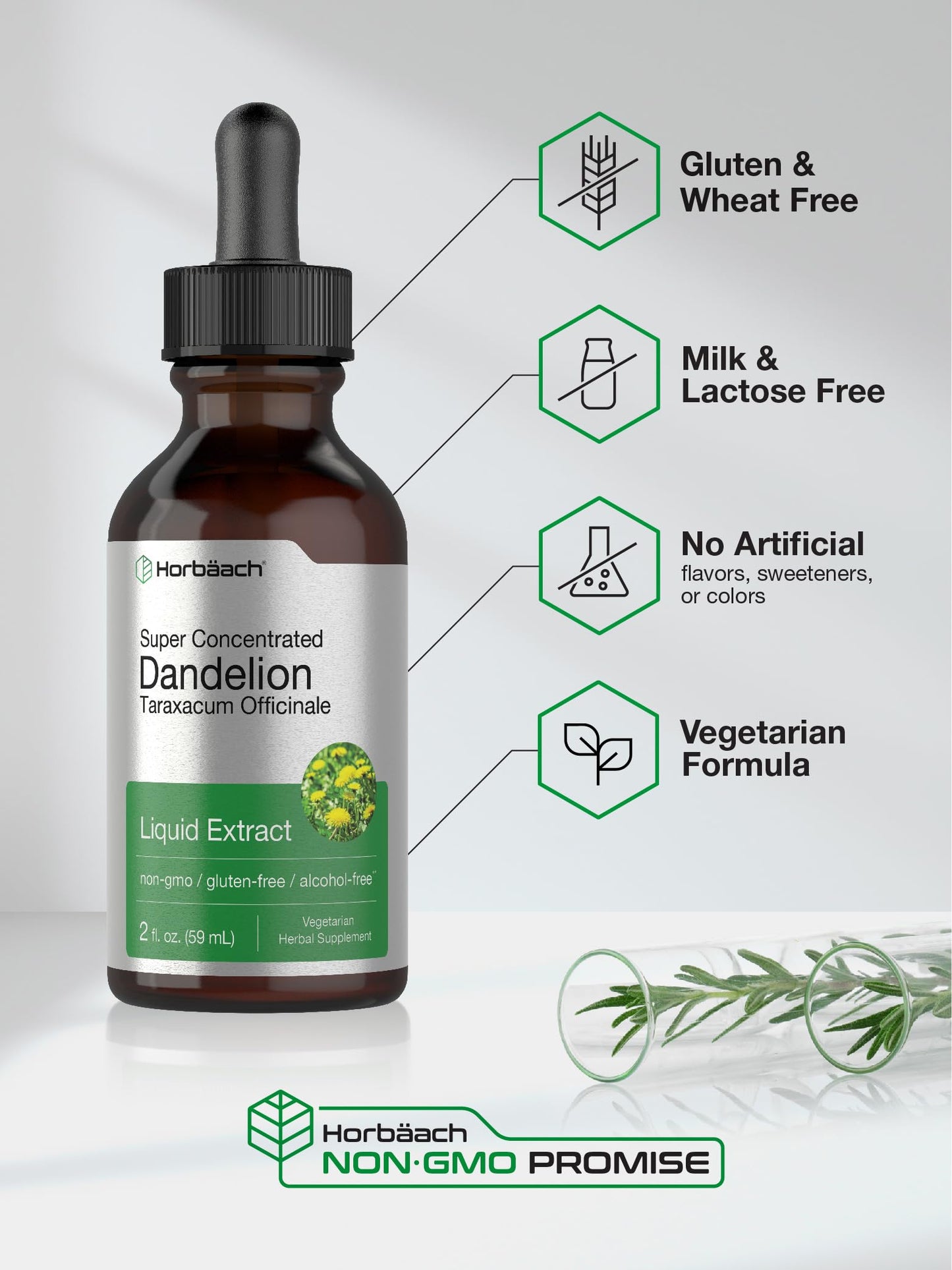 Horbäach Dandelion Root Extract Supplement - 2 fl oz | Alcohol-Free Liquid Tincture | Super Concentrated | Non-GMO & Gluten Free