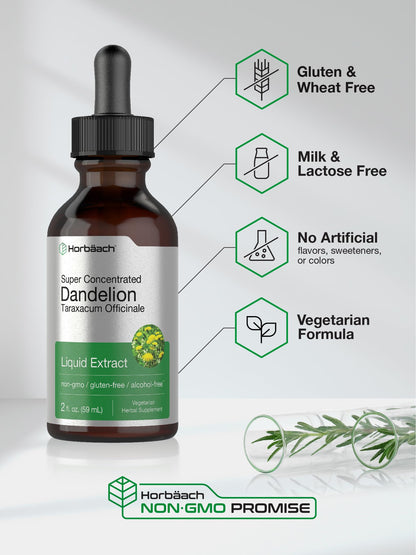 Horbäach Dandelion Root Extract Supplement - 2 fl oz | Alcohol-Free Liquid Tincture | Super Concentrated | Non-GMO & Gluten Free