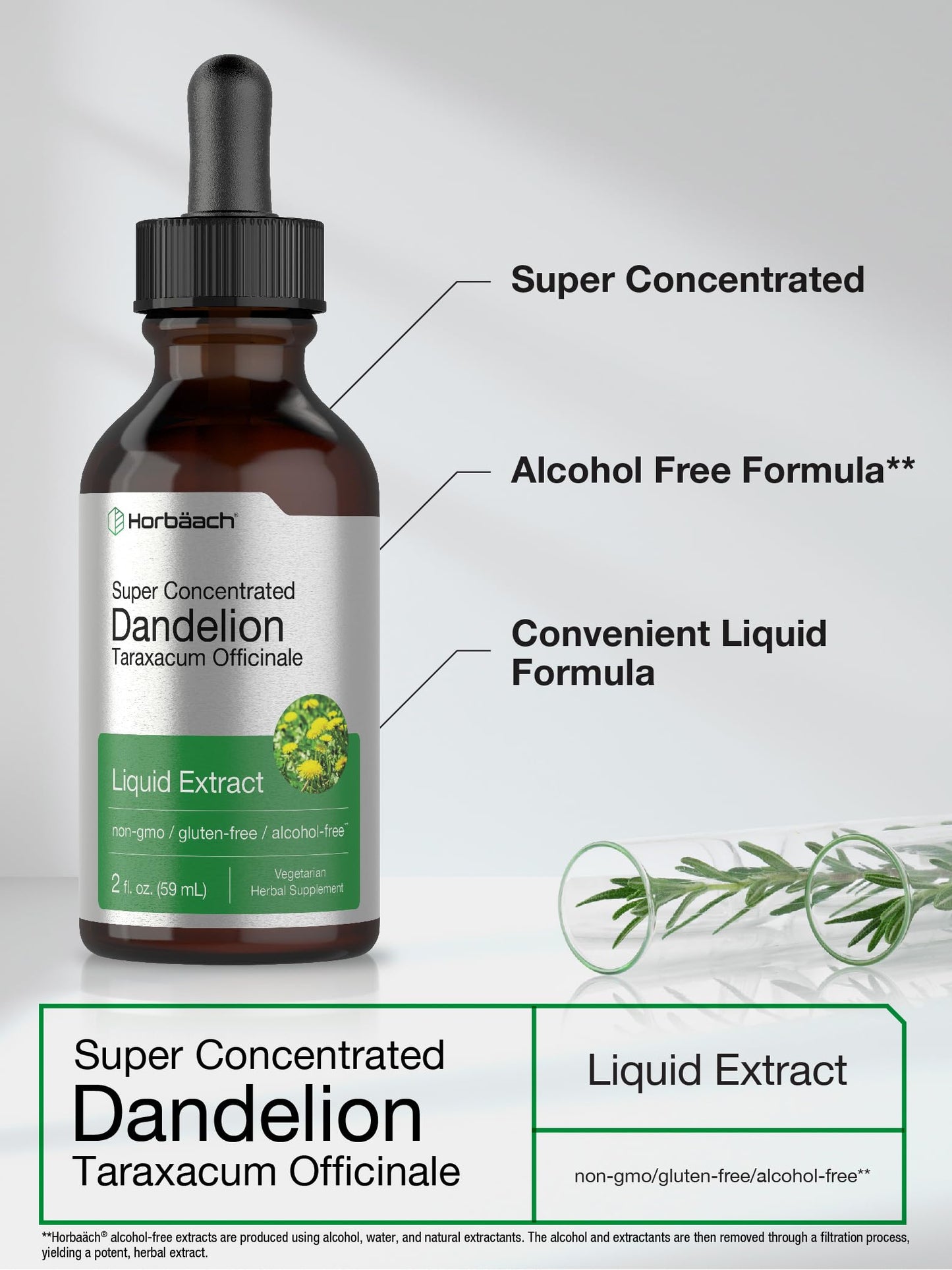Horbäach Dandelion Root Extract Supplement - 2 fl oz | Alcohol-Free Liquid Tincture | Super Concentrated | Non-GMO & Gluten Free