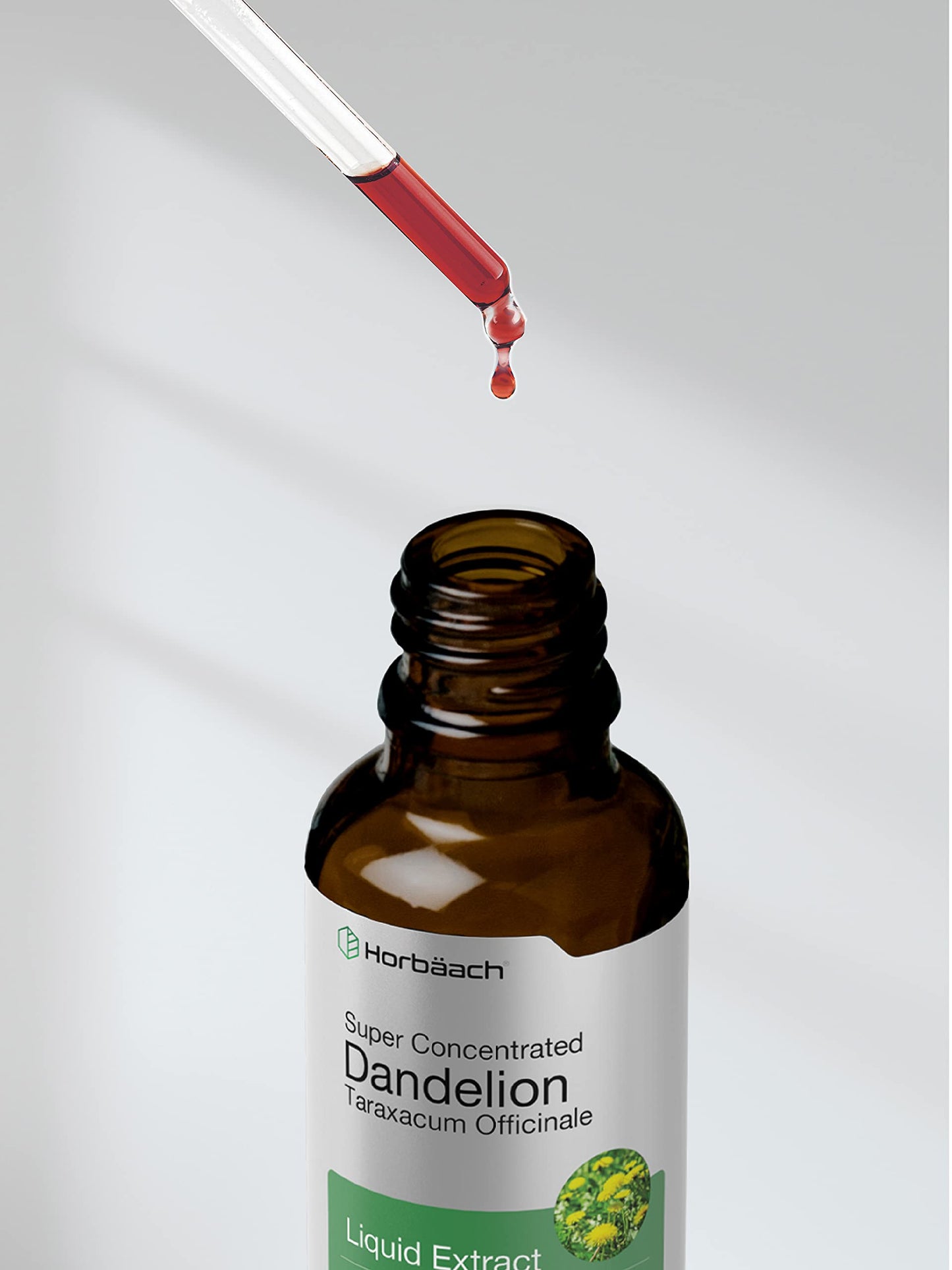 Horbäach Dandelion Root Extract Supplement - 2 fl oz | Alcohol-Free Liquid Tincture | Super Concentrated | Non-GMO & Gluten Free