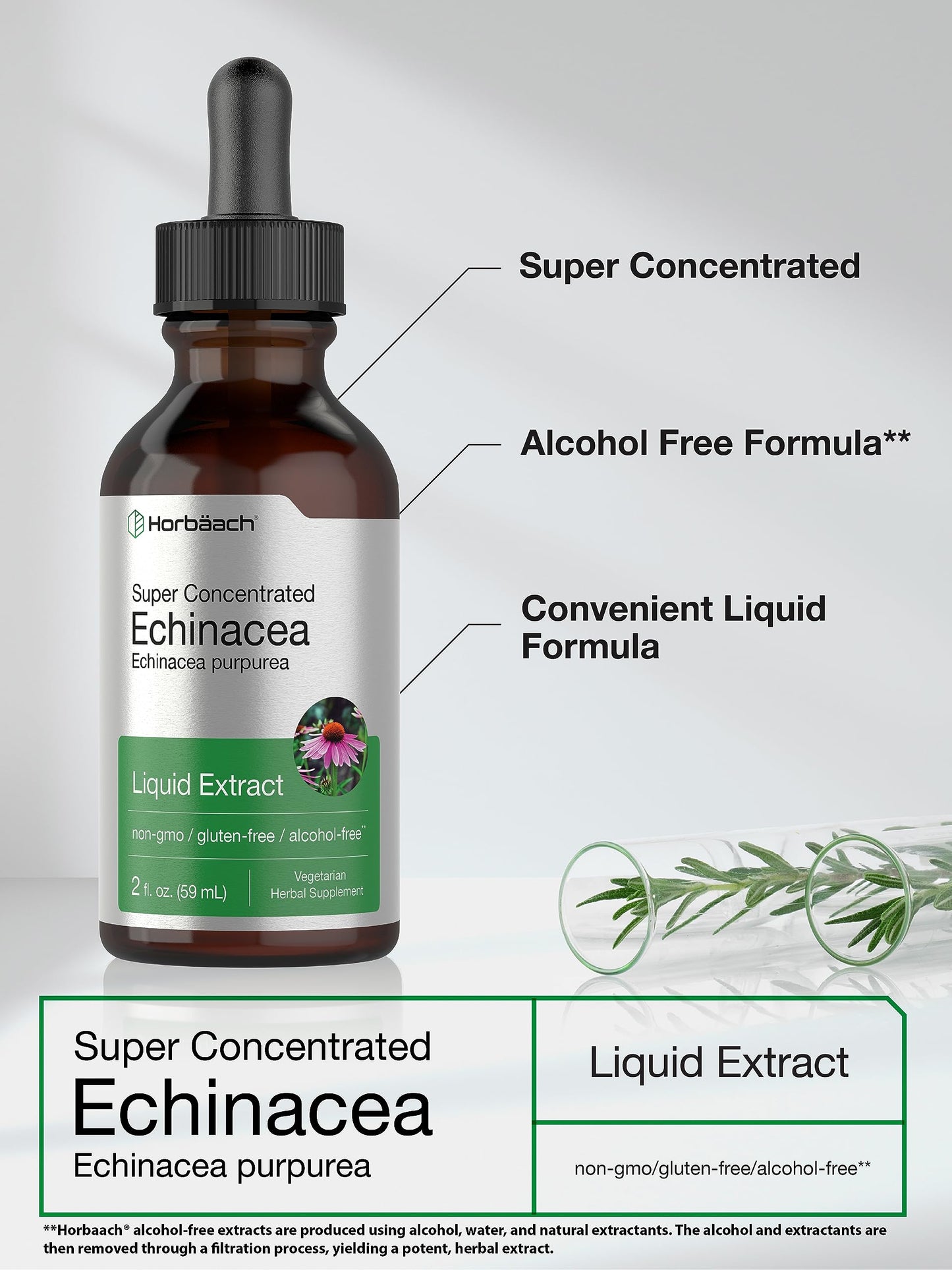 Horbaach Echinacea Drops Tincture - 2 fl oz | Alcohol-Free, Vegetarian, Non-GMO & Gluten Free