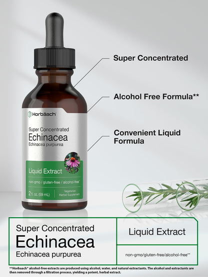 Horbaach Echinacea Drops Tincture - 2 fl oz | Alcohol-Free, Vegetarian, Non-GMO & Gluten Free