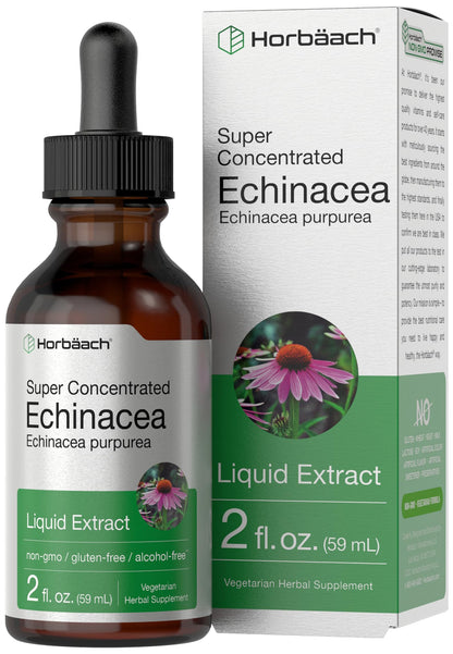 Horbaach Echinacea Drops Tincture - 2 fl oz | Alcohol-Free, Vegetarian, Non-GMO & Gluten Free