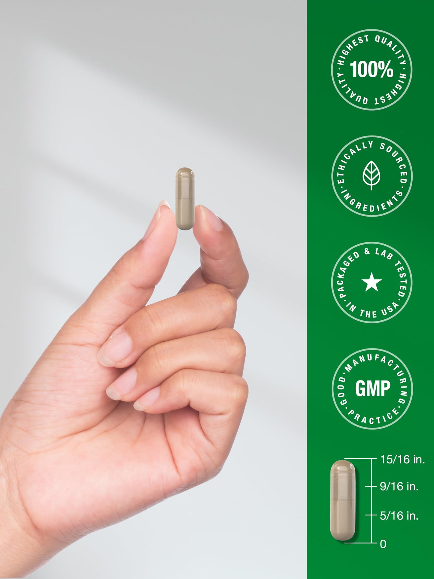 Horbäach Echinacea Goldenseal Capsules 1400mg | 300 Count