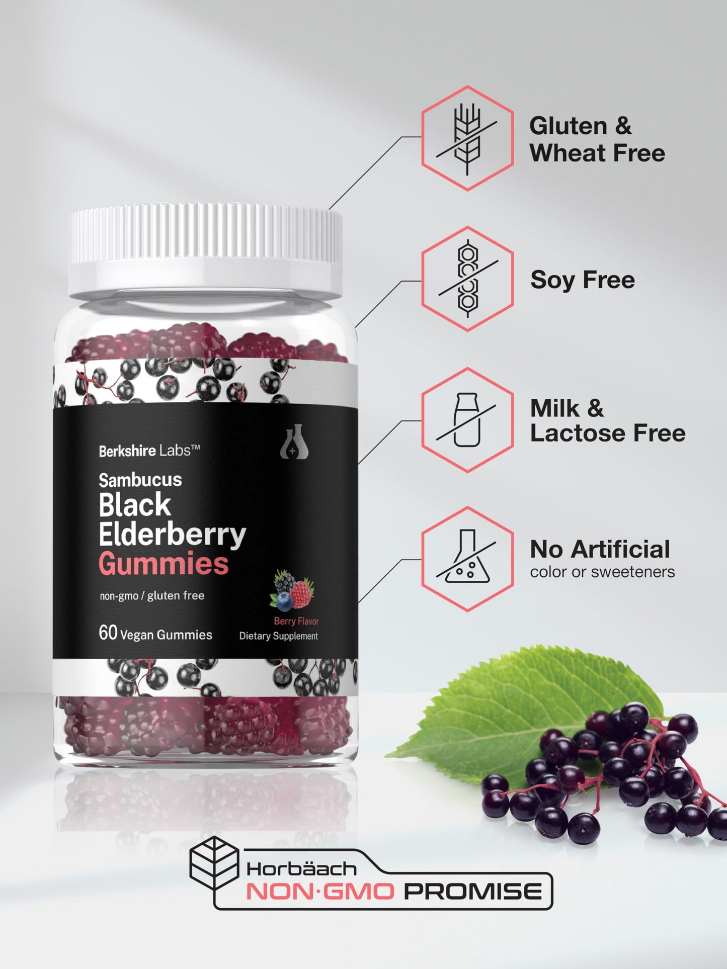 Horbaach Sambucus Black Elderberry Gummies – 60 Count, Vegan, Gluten Free, Vitamin C & Zinc