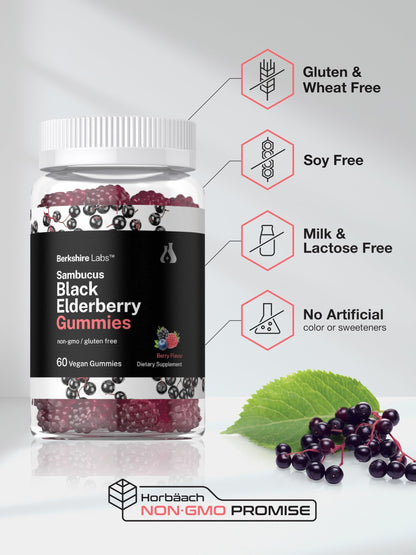 Horbaach Sambucus Black Elderberry Gummies – 60 Count, Vegan, Gluten Free, Vitamin C & Zinc