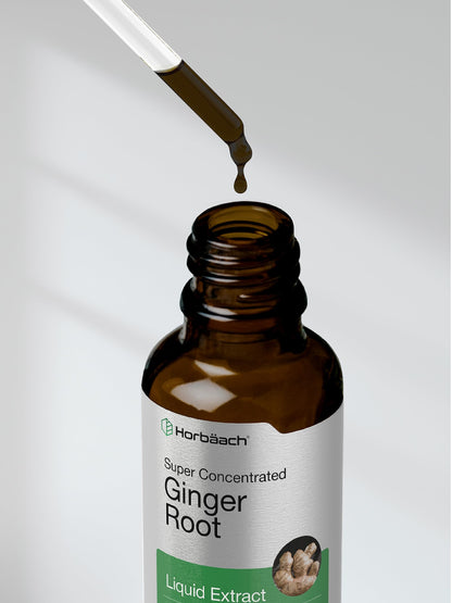 Horbäach Ginger Root Liquid Extract - 2 oz | Alcohol-Free, Gluten-Free, Non-GMO, Vegetarian