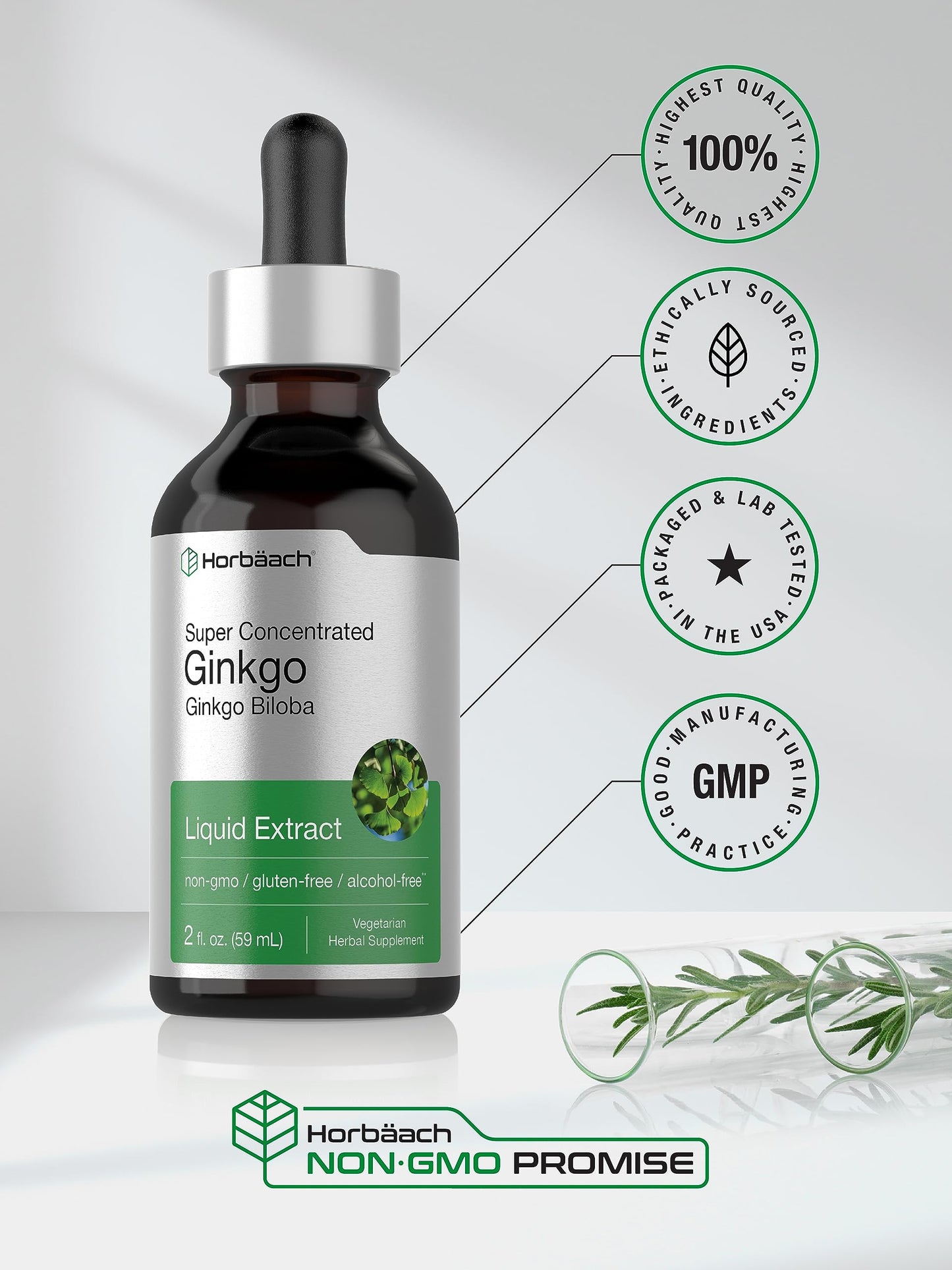 Horbäach Ginkgo Biloba Liquid Extract 2 fl oz – Alcohol-Free, Vegetarian, Non-GMO, Gluten Free