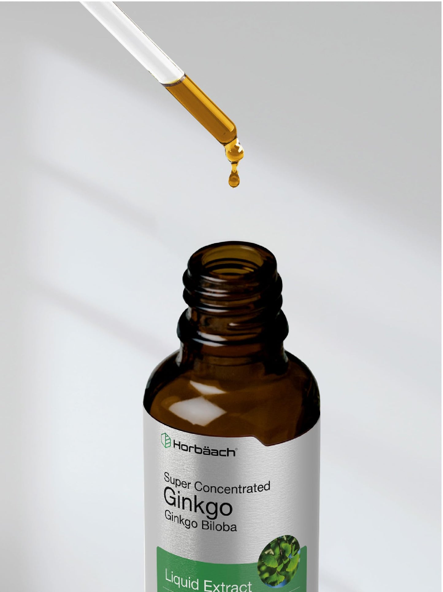 Horbäach Ginkgo Biloba Liquid Extract 2 fl oz – Alcohol-Free, Vegetarian, Non-GMO, Gluten Free
