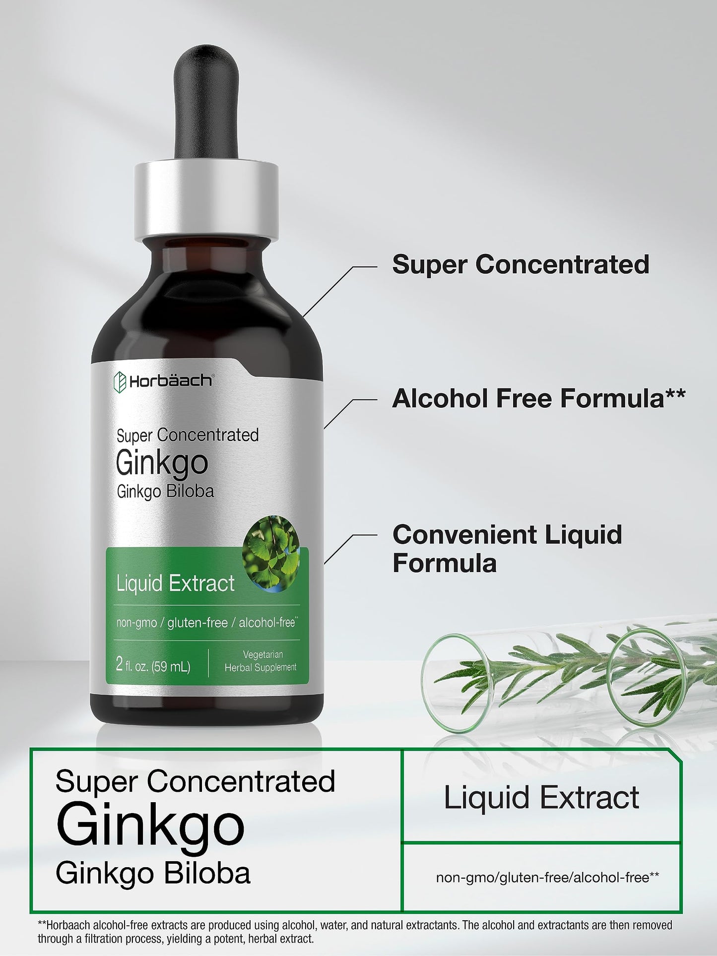 Horbäach Ginkgo Biloba Liquid Extract 2 fl oz – Alcohol-Free, Vegetarian, Non-GMO, Gluten Free