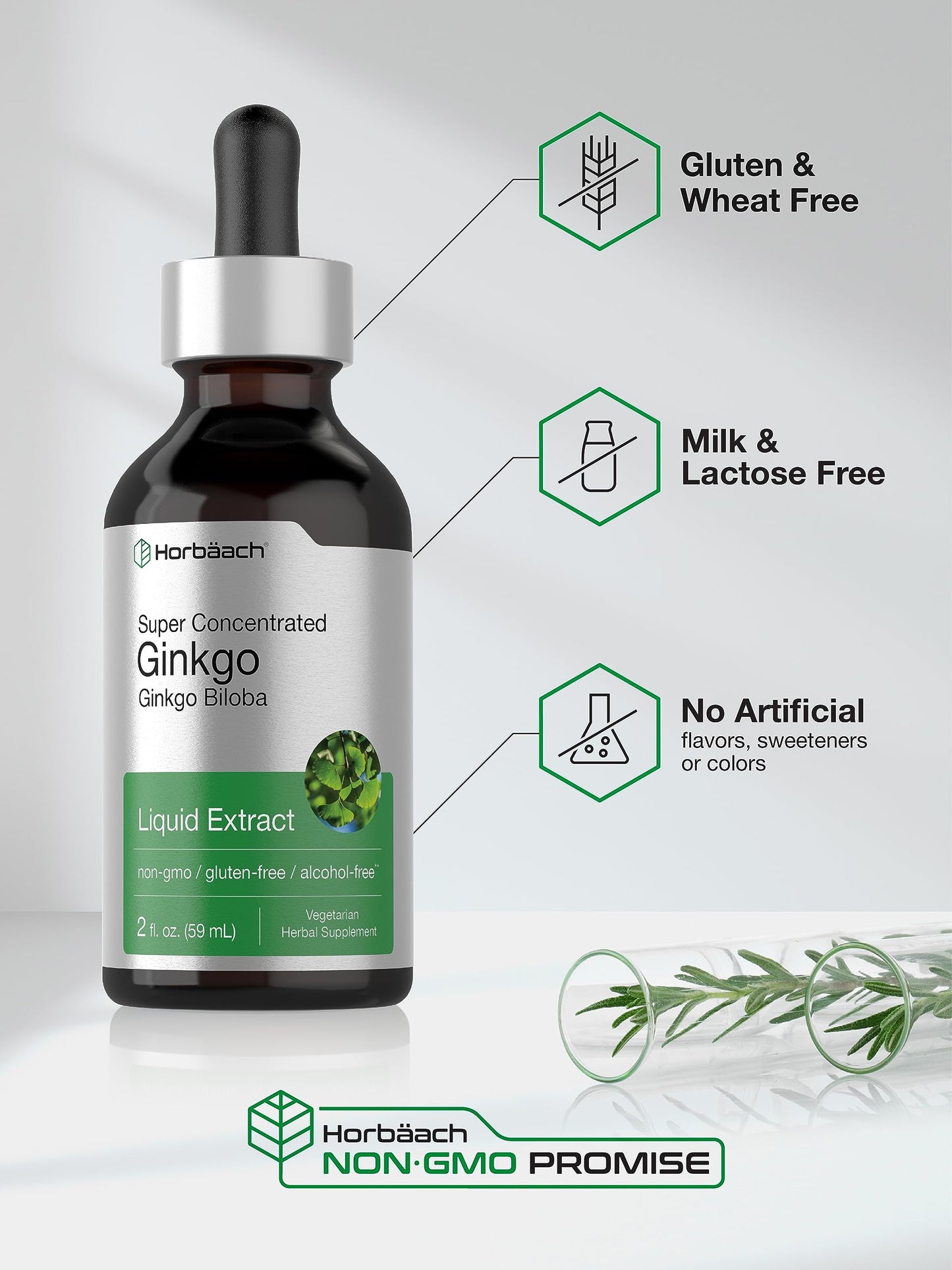 Horbäach Ginkgo Biloba Liquid Extract 2 fl oz – Alcohol-Free, Vegetarian, Non-GMO, Gluten Free