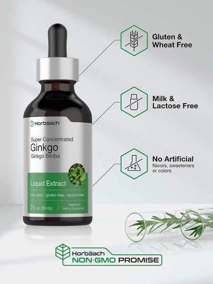 Horbäach Ginkgo Biloba Liquid Extract 2 fl oz – Alcohol-Free, Vegetarian, Non-GMO, Gluten Free