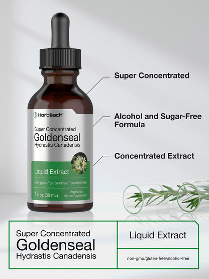 Horbaach Goldenseal Tincture Liquid Extract – 1 fl oz | Alcohol Free