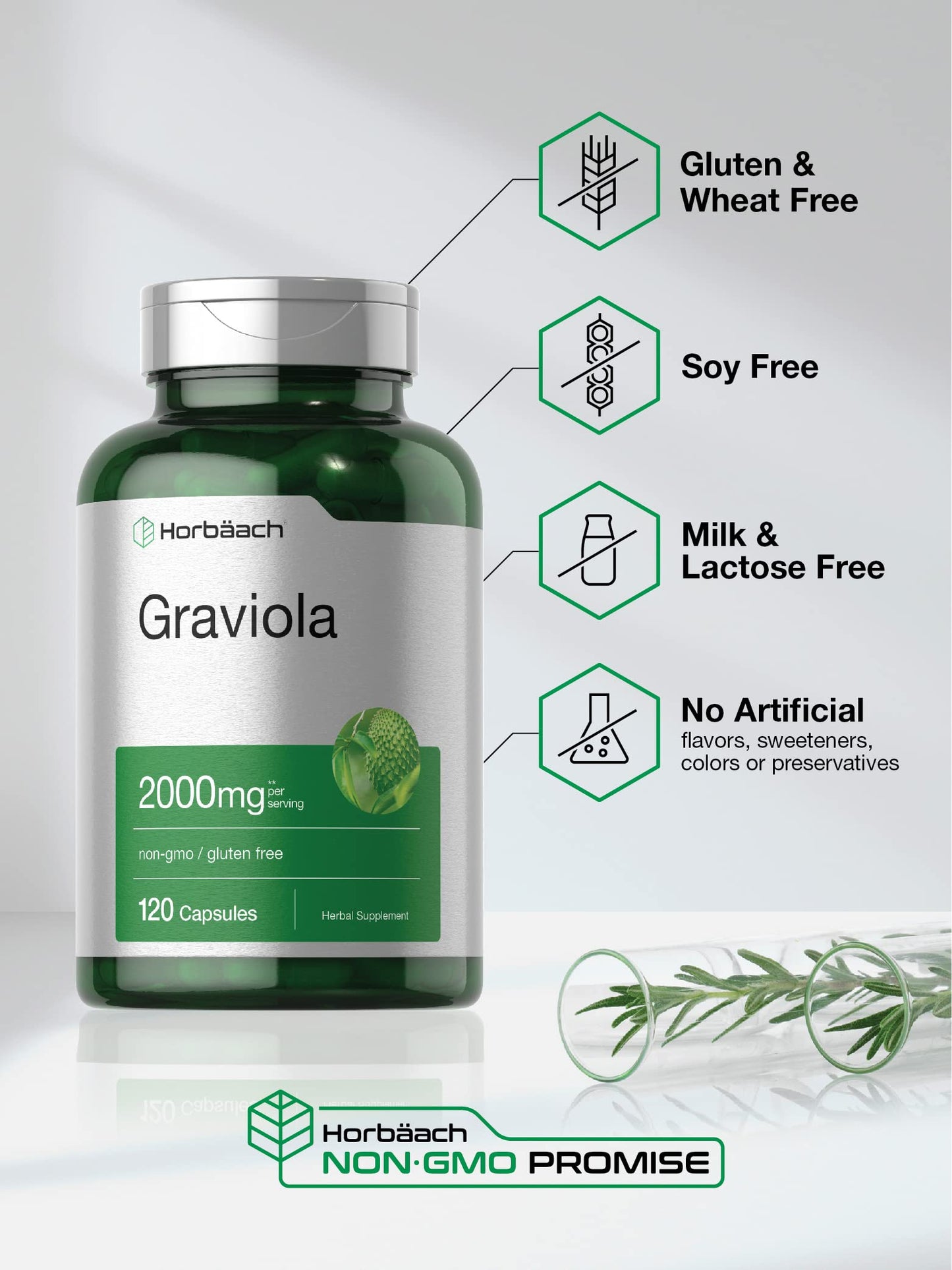 Horbäach Graviola Capsules | 2000 mg | 120 Count | Non-GMO, Gluten Free | Soursop (Annona Muricata)