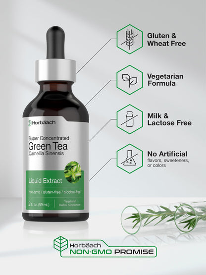 Horbäach Green Tea Extract Liquid Drops | 2 Fl Oz | Alcohol Free | Vegetarian | Super Concentrated Supplement | Non-GMO, Gluten Free
