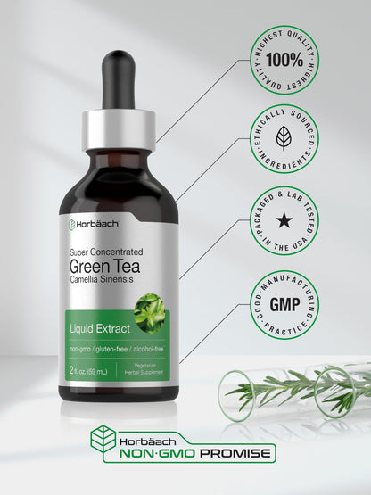Horbäach Green Tea Extract Liquid Drops | 2 Fl Oz | Alcohol Free | Vegetarian | Super Concentrated Supplement | Non-GMO, Gluten Free
