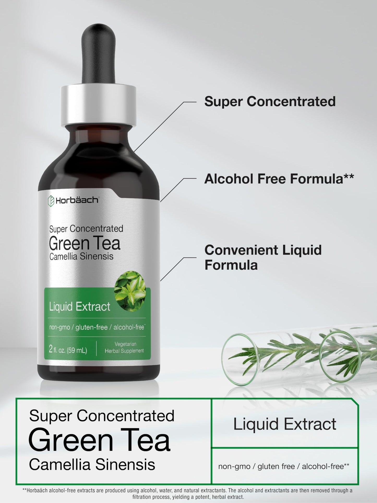 Horbäach Green Tea Extract Liquid Drops | 2 Fl Oz | Alcohol Free | Vegetarian | Super Concentrated Supplement | Non-GMO, Gluten Free