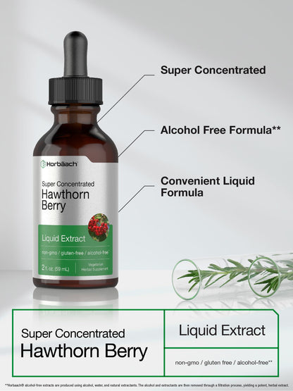 Horbäach Hawthorn Berry Extract | 2 fl oz Alcohol-Free Tincture | Vegetarian, Non-GMO, Gluten Free