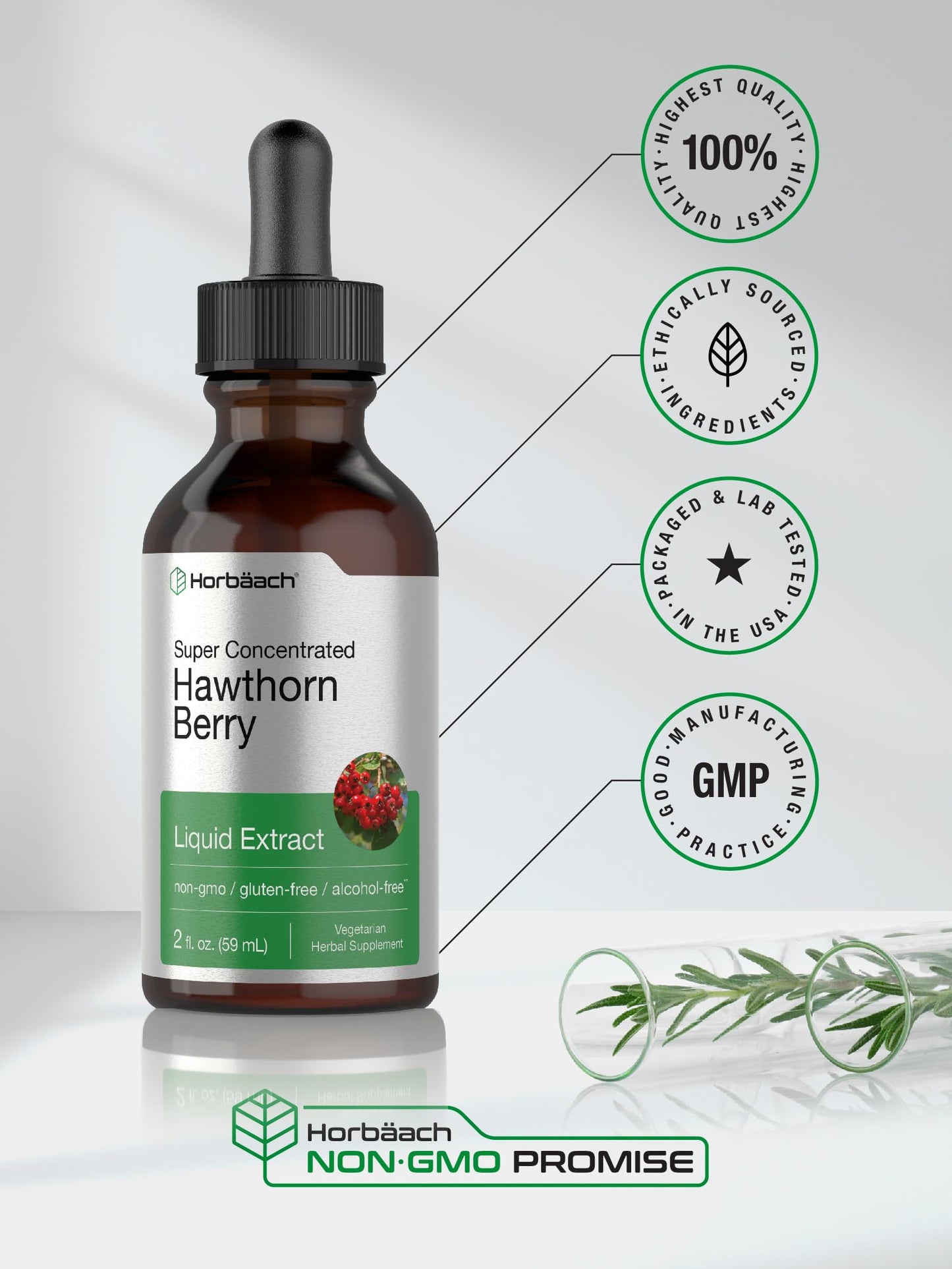 Horbäach Hawthorn Berry Extract | 2 fl oz Alcohol-Free Tincture | Vegetarian, Non-GMO, Gluten Free
