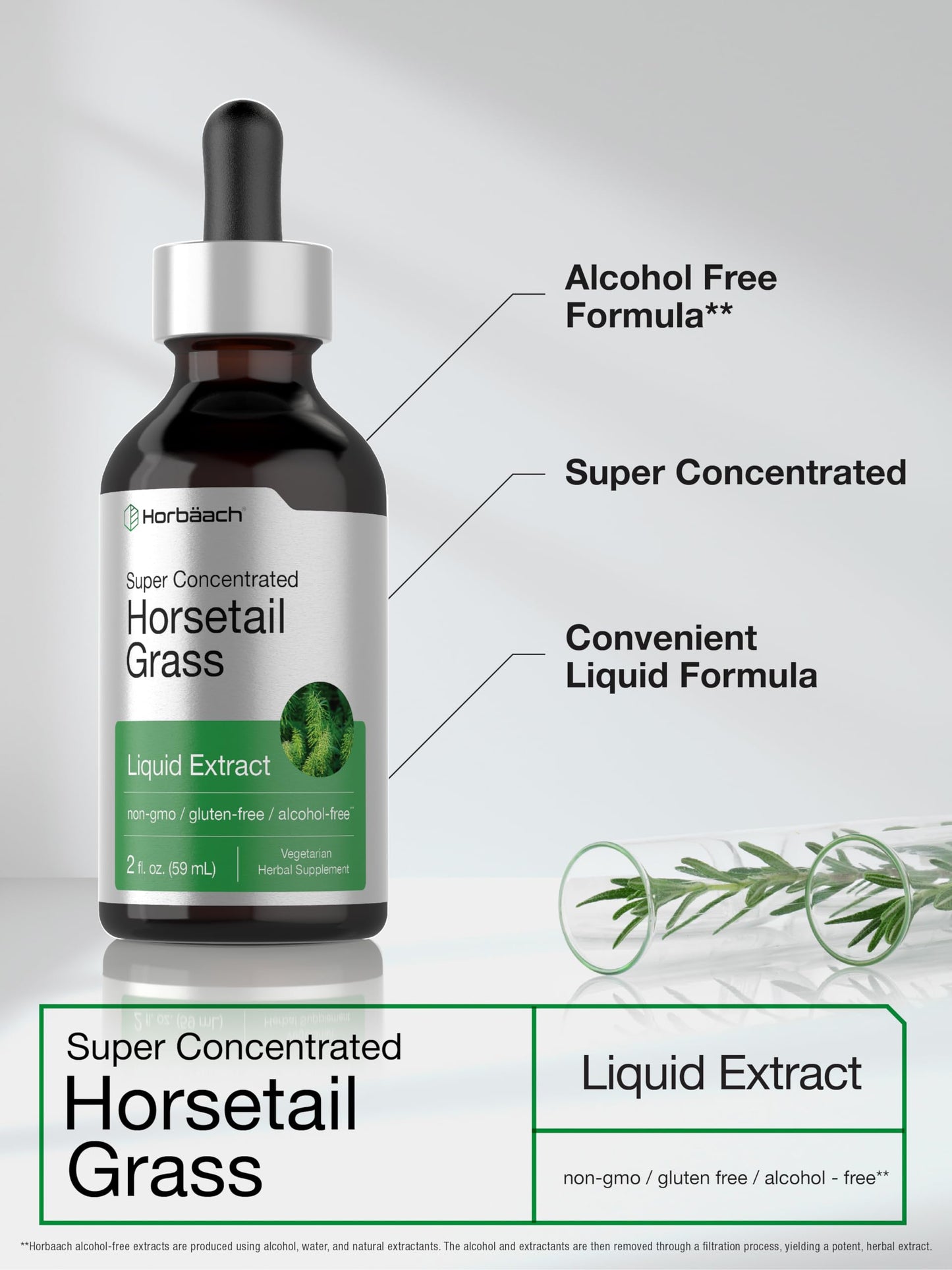 Horbaach Horsetail Liquid Extract - Alcohol Free, Gluten Free, Non-GMO | 2 fl oz